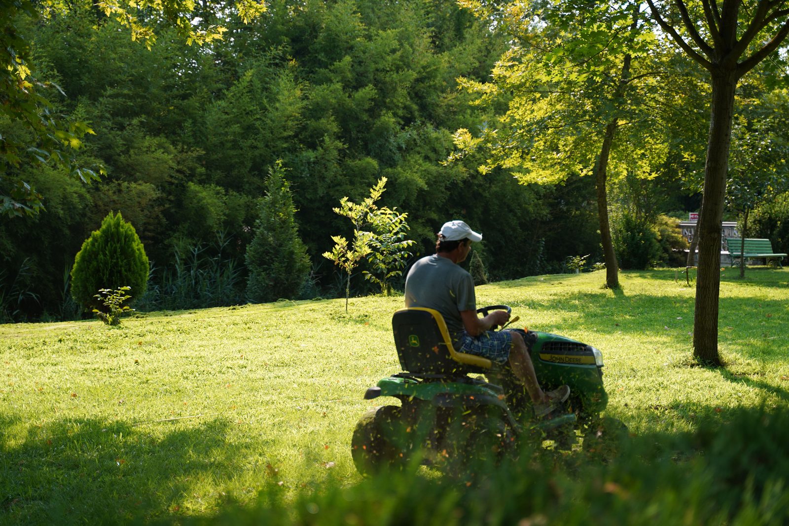 Wide view of a striped, freshly mowed lawn