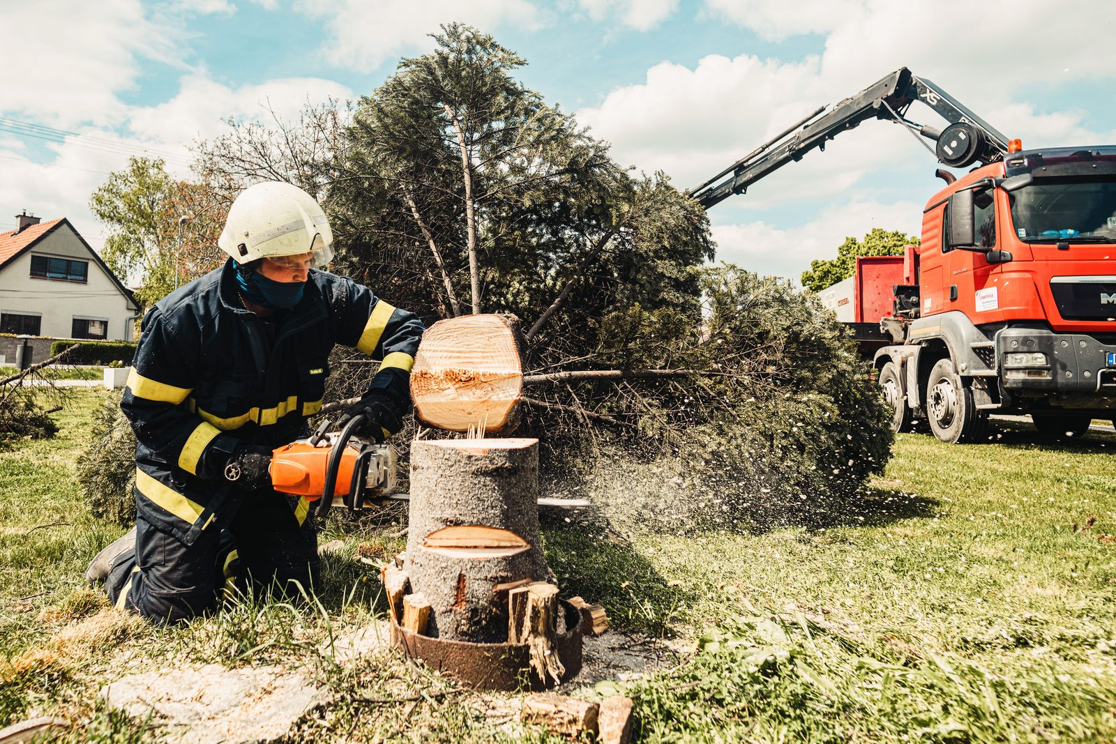 Large tree trimmed back using a boom lift